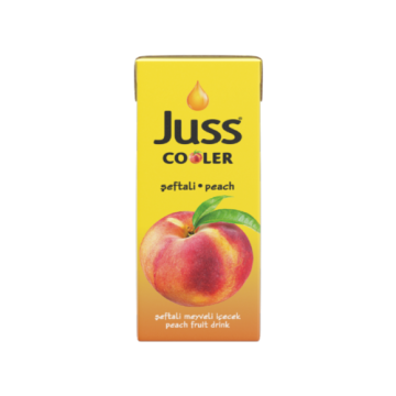 Juss Şeftali Meyveli İçecek 200 ml