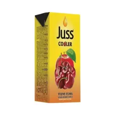 Juss Elma Vişne Meyveli İçecek 200 ml