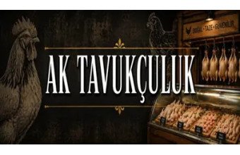 Ak Tavukçuluk